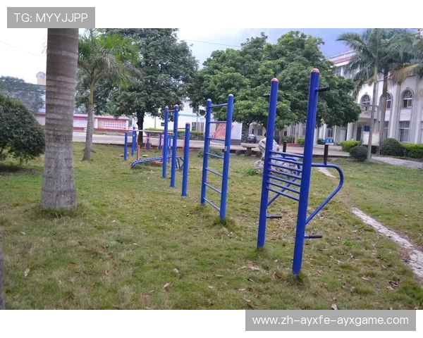 公园常见健身器材项目一览，体育设施功能全解析