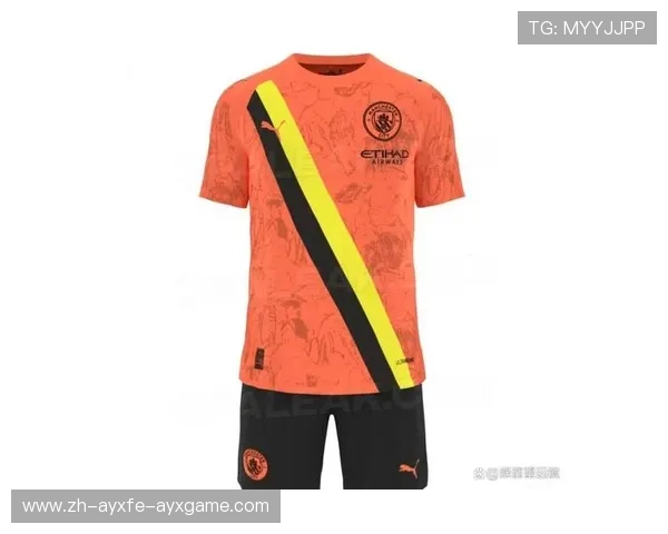 英超2016–17赛季球衣主客场对比图鉴