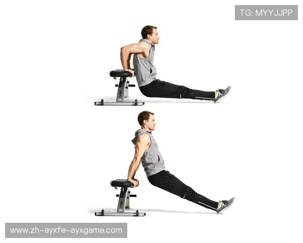 高效自重训练解锁肌力新维度